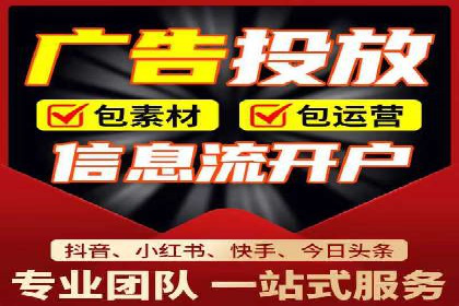 案例对比：不同竞价广告平台的优劣